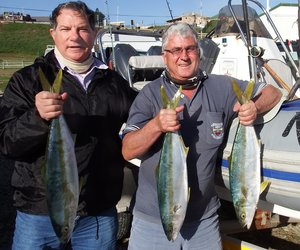 Birkenheaders tevrede